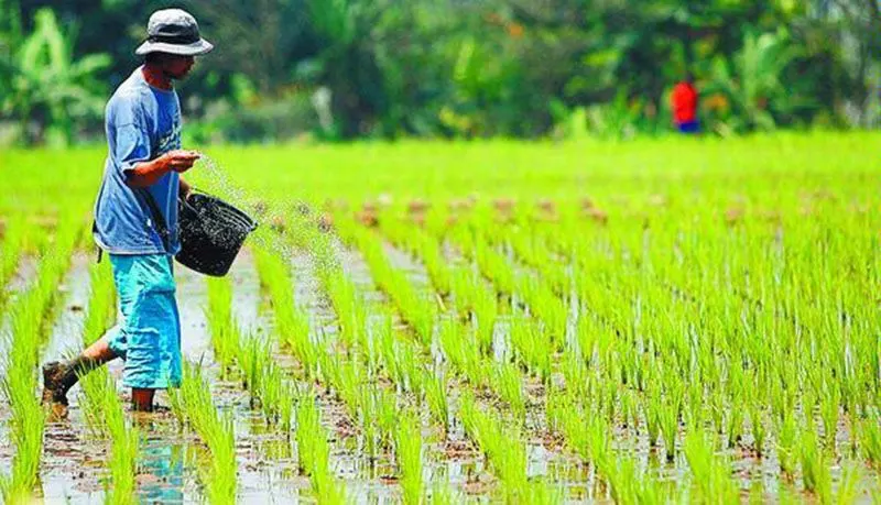 Sektor pertanian menyumbang porsi terbesar mencapai 29,34% dari total KUR Bank Mandiri atau sebesar Rp 4,94 triliun. Kemudian dilanjutkan oleh sektor Jasa Produksi sebesar Rp 3,31 triliun atau 19,68% dari total penyaluran KUR pada akhir Mei 2022. 
