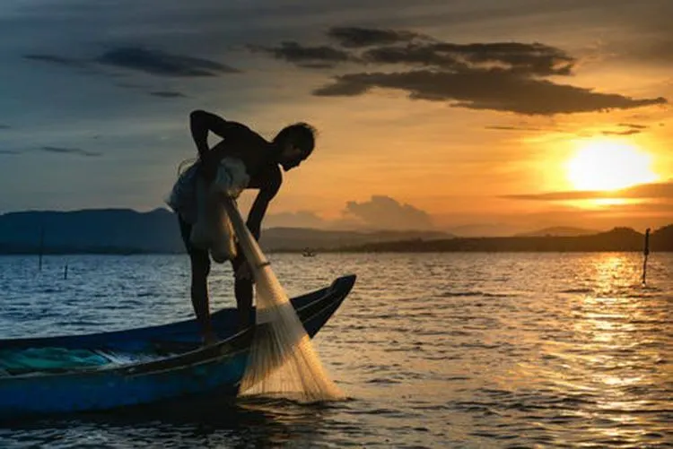 Investree dan eFishery salurkan pembiayaan Rp122 miliar ke petambak di Indonesia
