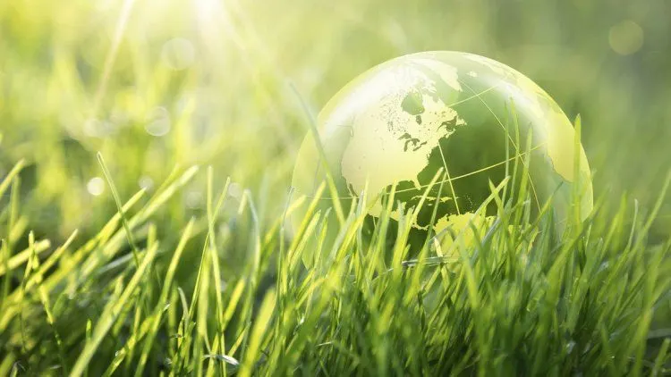 LPS ajak negara anggota IADI berikan kontribusi dalam pelaksanaan green economy