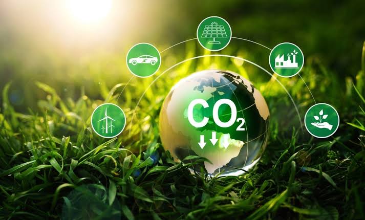 DBS Indonesia kampanyekan pentingnya kredit karbon untuk perangi perubahan iklim global